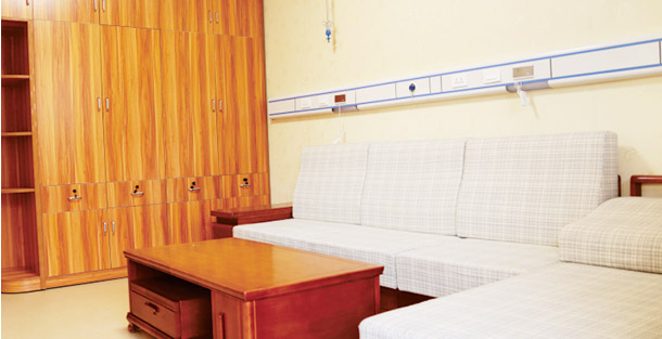 VIP���������